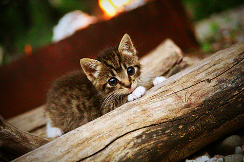 _城市冲浪:人工波浪带来冲浪新体验_,人工冲浪视频