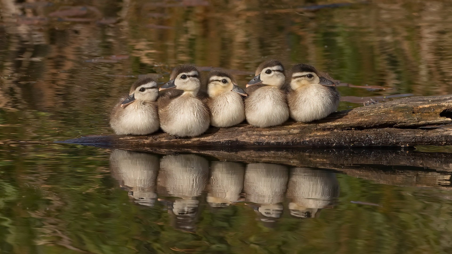 _新兴城市举办国际网球赛,推动本地体育发展_,新兴杯网球