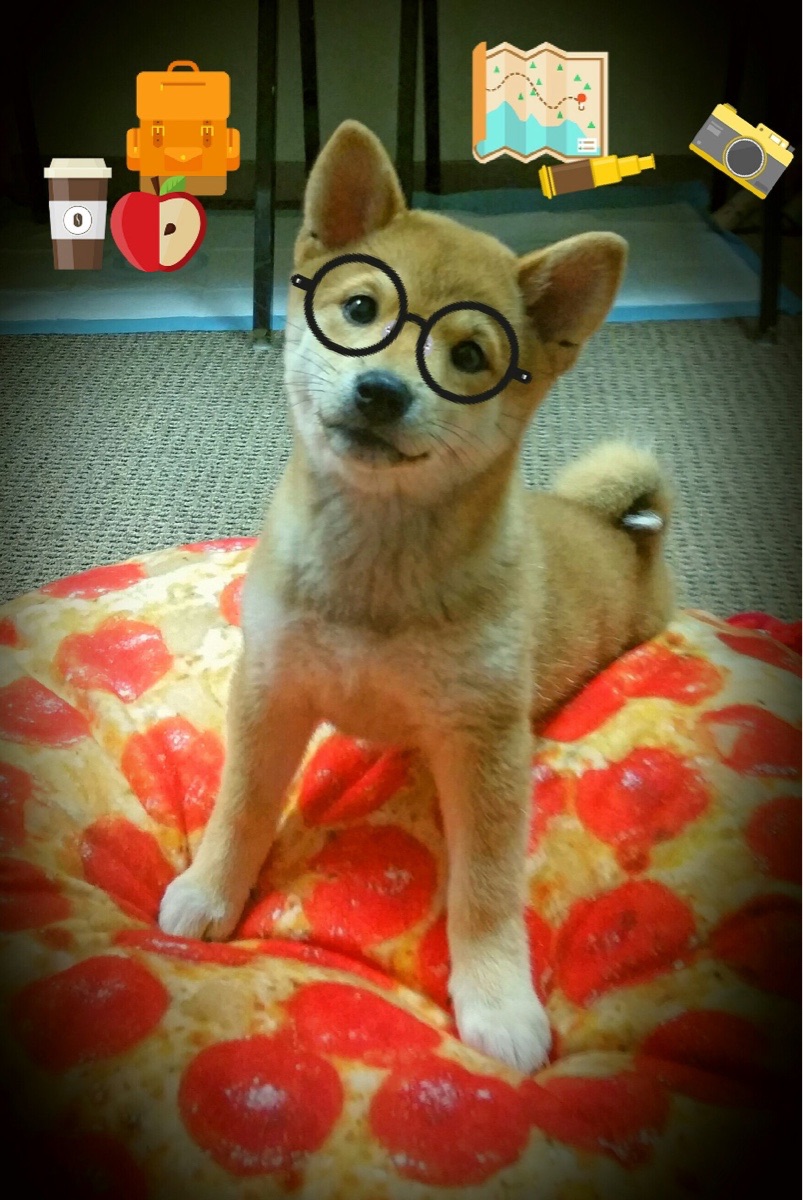 _沙滩极限排球：白沙与阳光的热情碰撞_，极限沙滩排球3