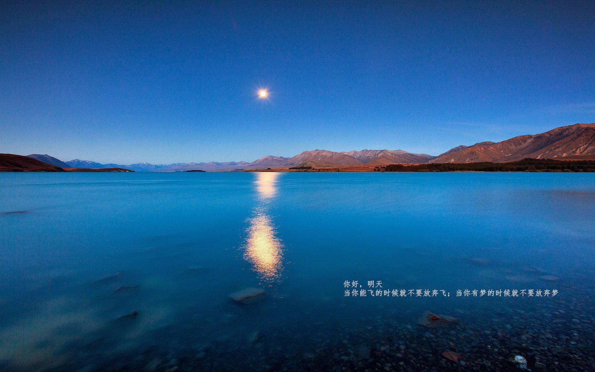 “青少年足球联盟加速拓展,培养未来足球人才”,青少年足球发展论坛