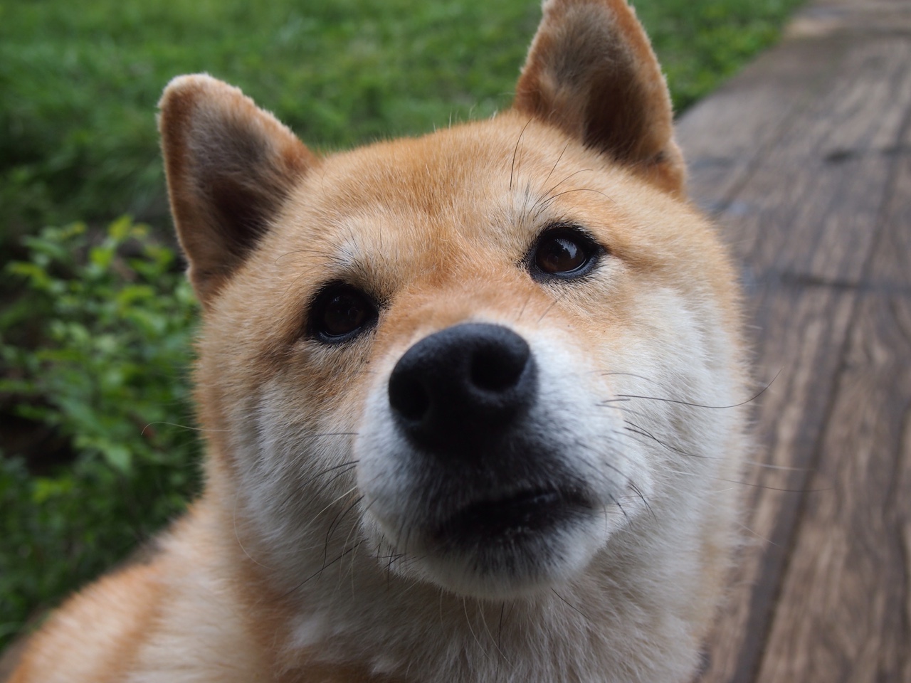 【投手的制胜法则】如何利用“连续三振”战术击败对手？，连段投掷