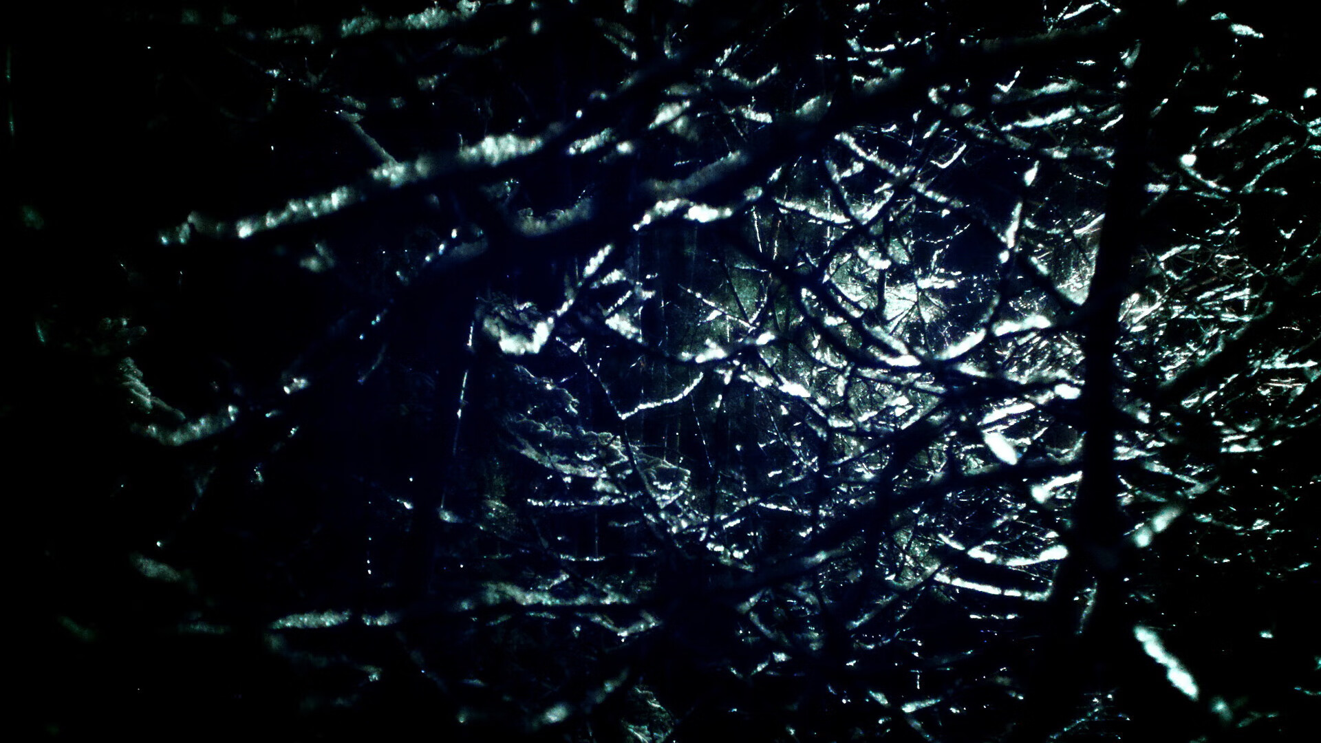 墨西哥马术协会开展马匹福利宣传活动，提升公众意识。，墨西哥马拉松