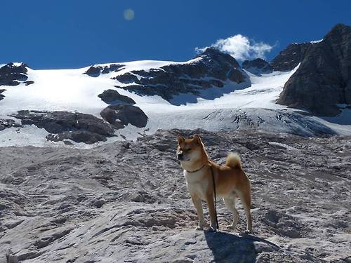-比利时游泳选手在比赛中展现出顽强拼搏精神，比利时游泳运动员