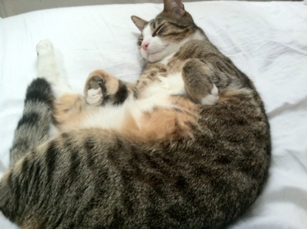 绝地求生 新版本战术引发关注，绝地求生新玩法