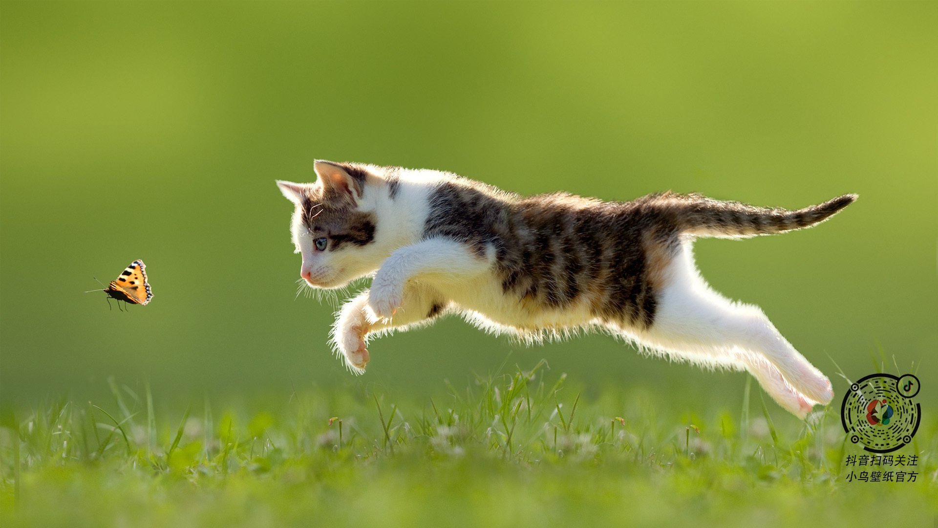 九游-赛季尾声最受关注的五大悬念，一目了然，最后的赛季