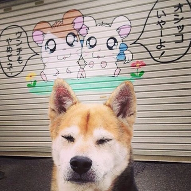 足球比赛中某支队伍势如破竹，赢得领先，某足球比赛的计分规则为胜一场得3分共得40分