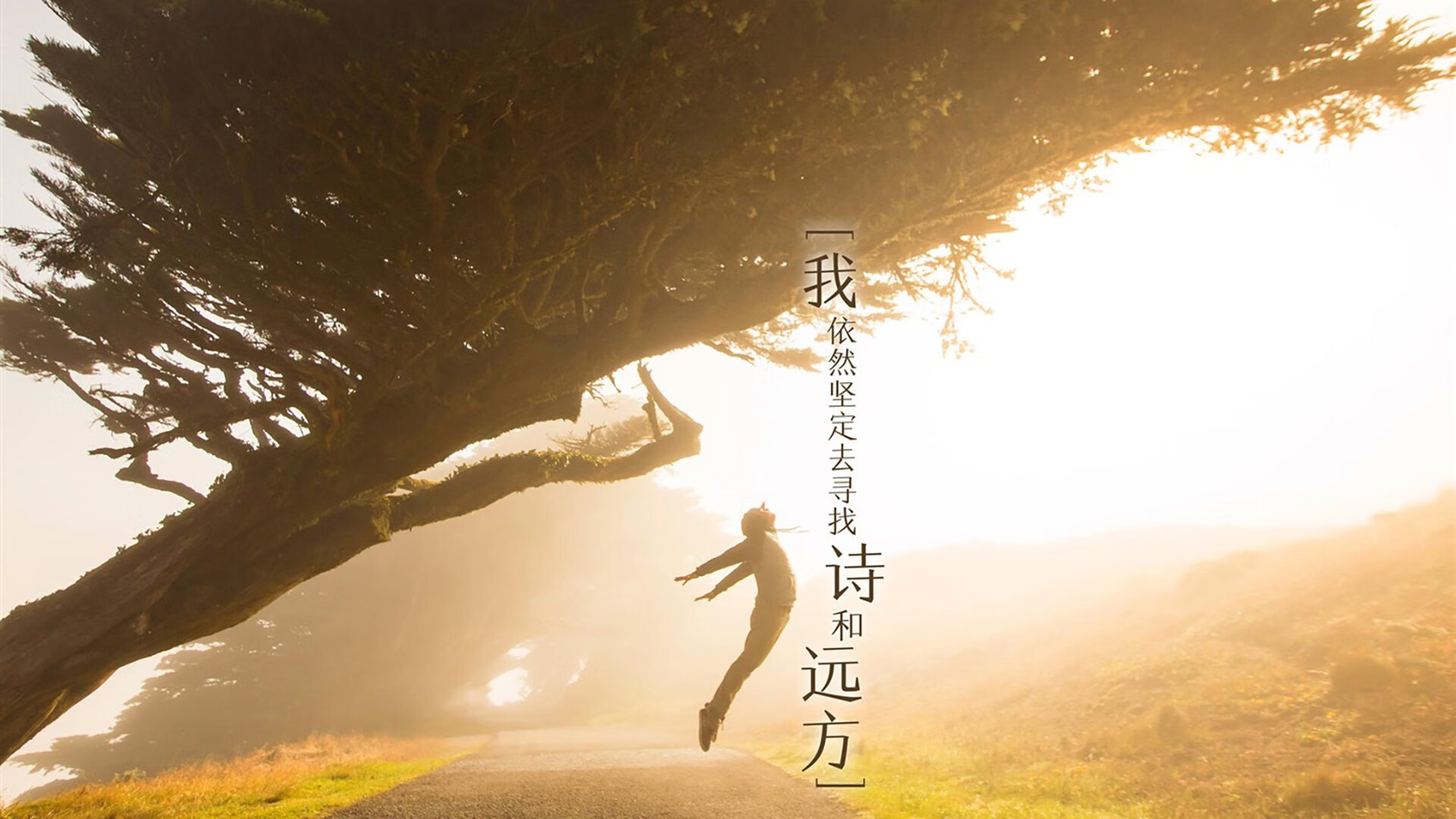 全民健身摄影作品展览走进体育馆大厅,体育运动摄影作品展