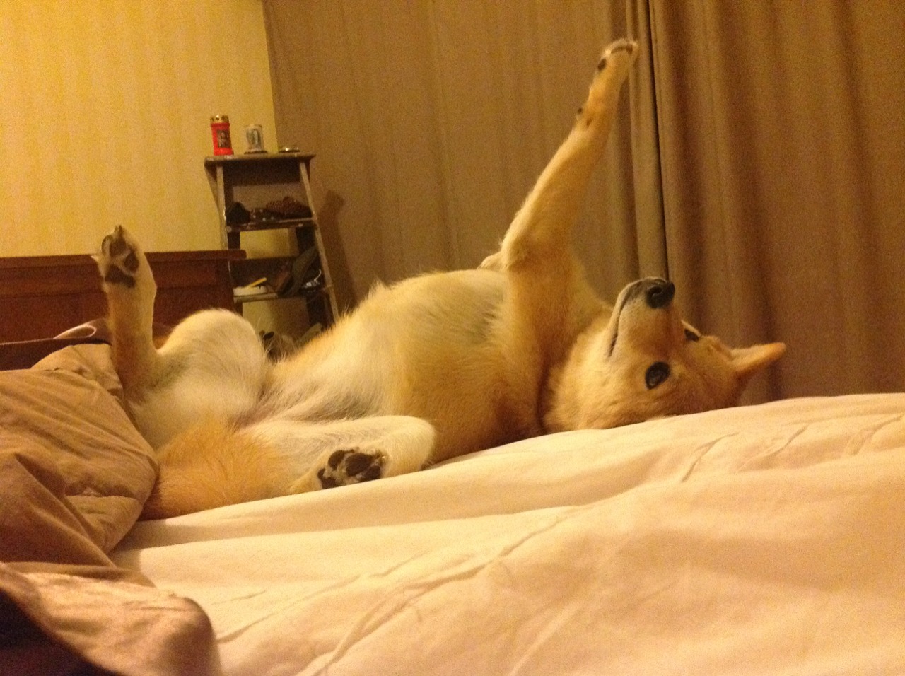 国家登山队启程挑战世界高峰，国家登山运动员