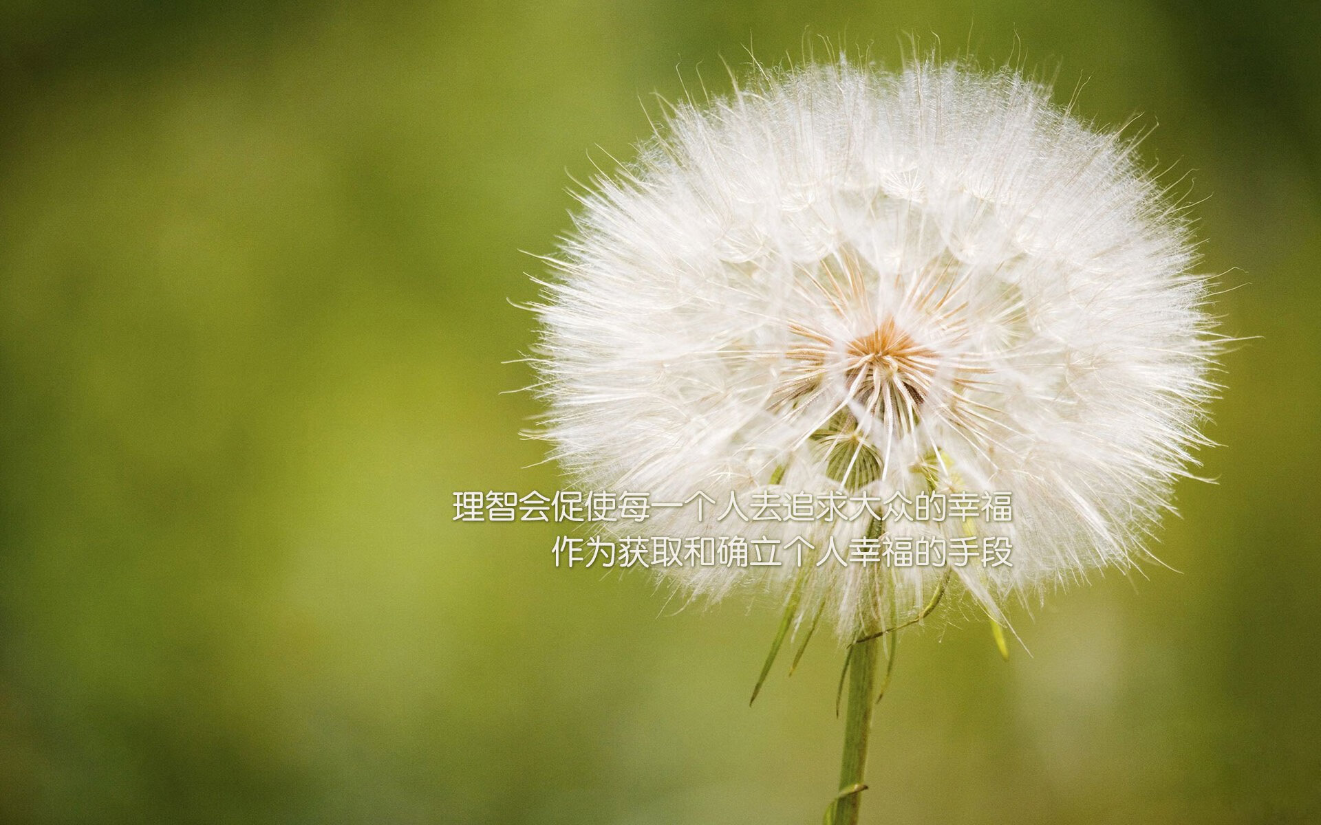 外援与本土球员合作默契不足，外援与本土球员合作默契不足怎么办