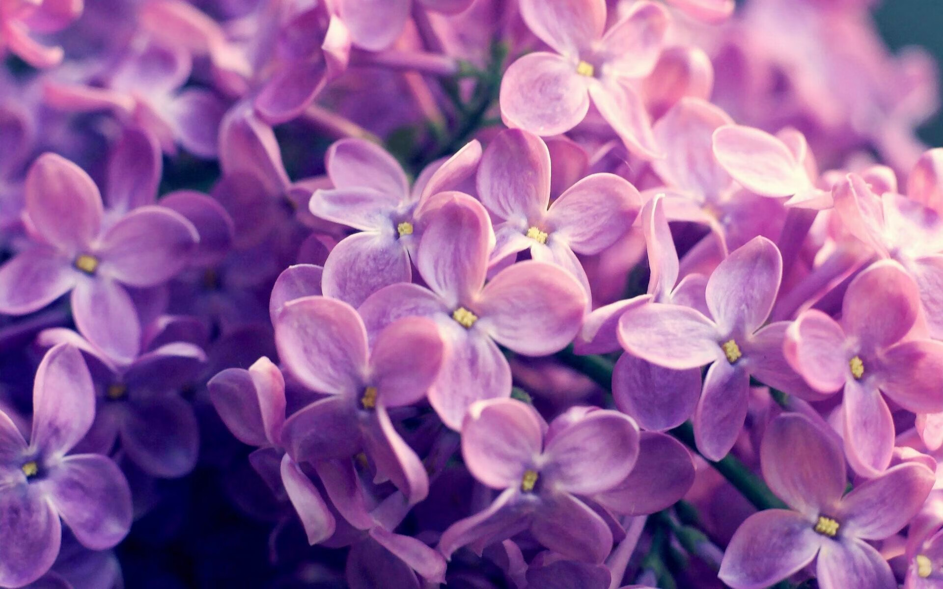 全国足球青训联盟成立,推动行业标准化发展,足协青训中心