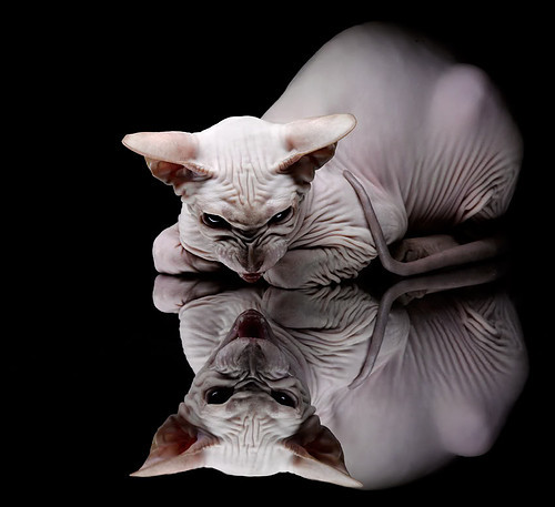 九游9游-小组赛战胜罗马尼亚、入八强表现稳健，wta罗马尼亚公开赛