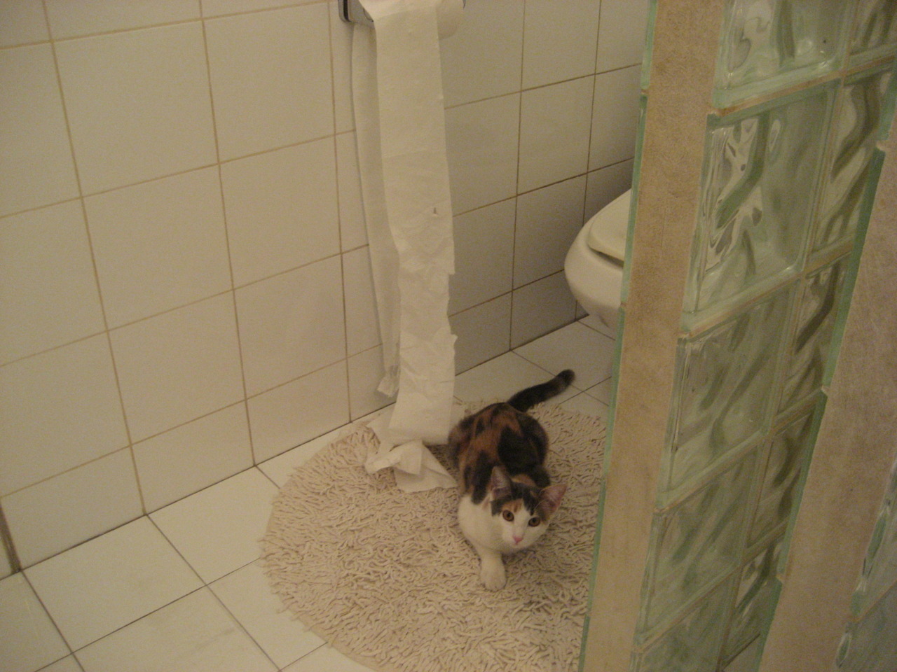 戴维·帕特森凭借全面的攻防表现，帮助袋鼠队稳占上风，帕特里克·戴维森