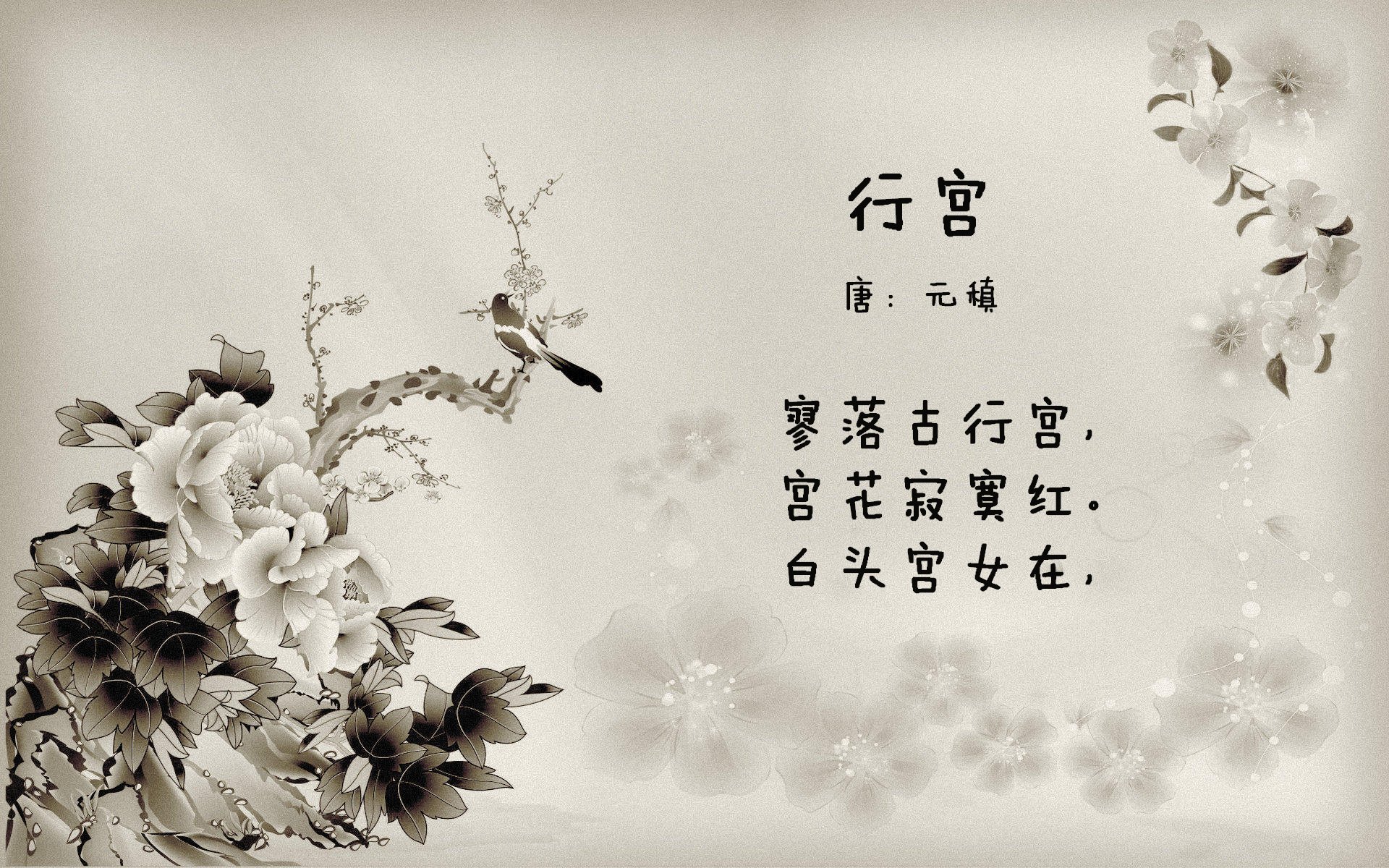 美洲杯超级明星竞技：激情满满！，美洲杯巨星