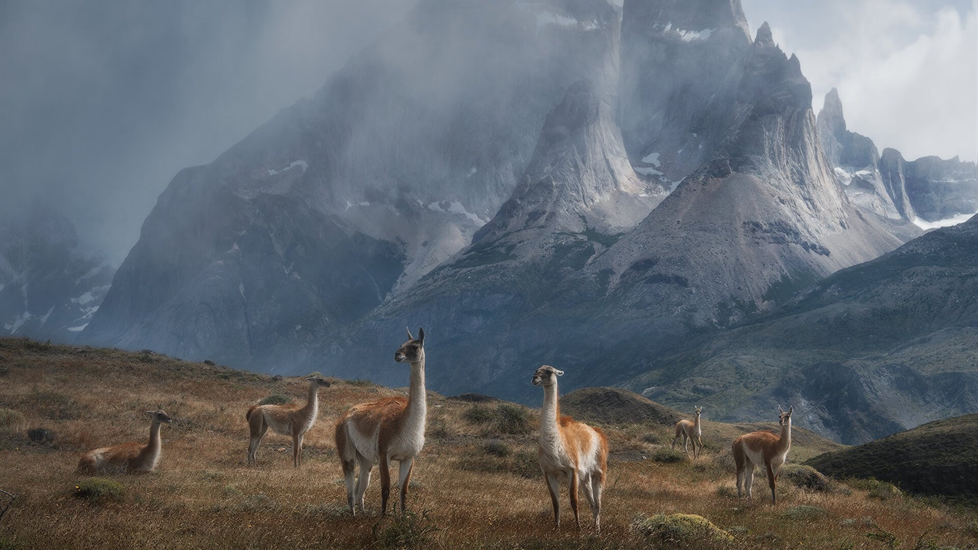 JIUYOU GAMING-自由泳长程韩国展现耐力节奏，自由泳长游视频